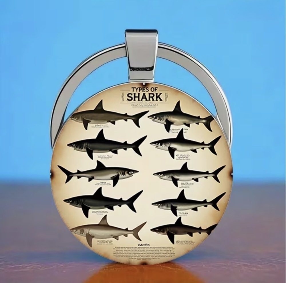 3/$25 Types Of Sharks Ocean Wildlife Keychain NEW